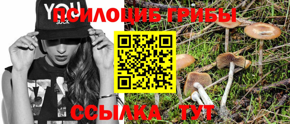 Галлюциногенные грибы Psilocybine cubensis Самара